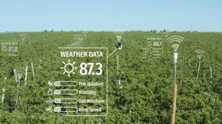 A graphic portrayal of smart sensors being used to monitor the environment and increase Food Resiliency.